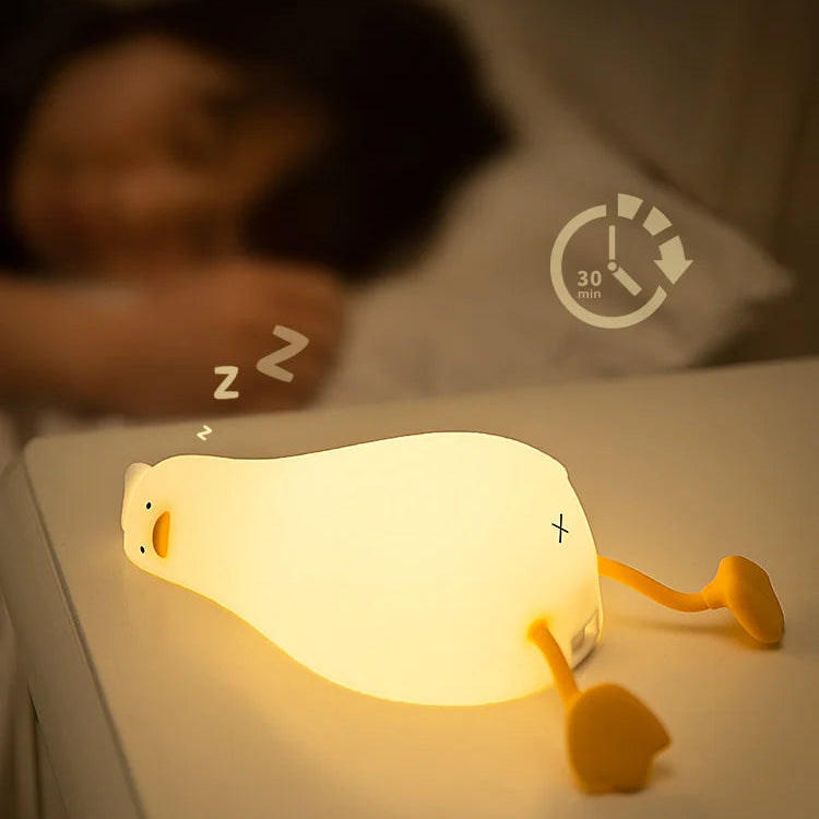 Canard lumineux